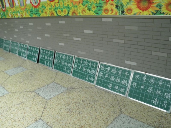 P9151190_.jpg